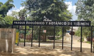 logo Zoológico de Tizimín