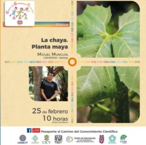 foto de Actividades científicas gratuitas en línea para niños