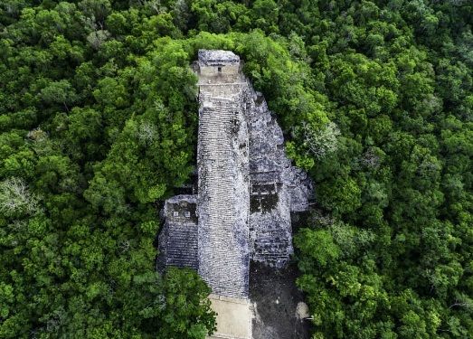Ficha tecnica de Cobá