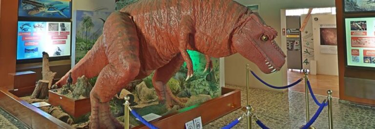 Foto de Museo de Historia Natural