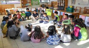 Galería Escuela Montessori de la CDMX