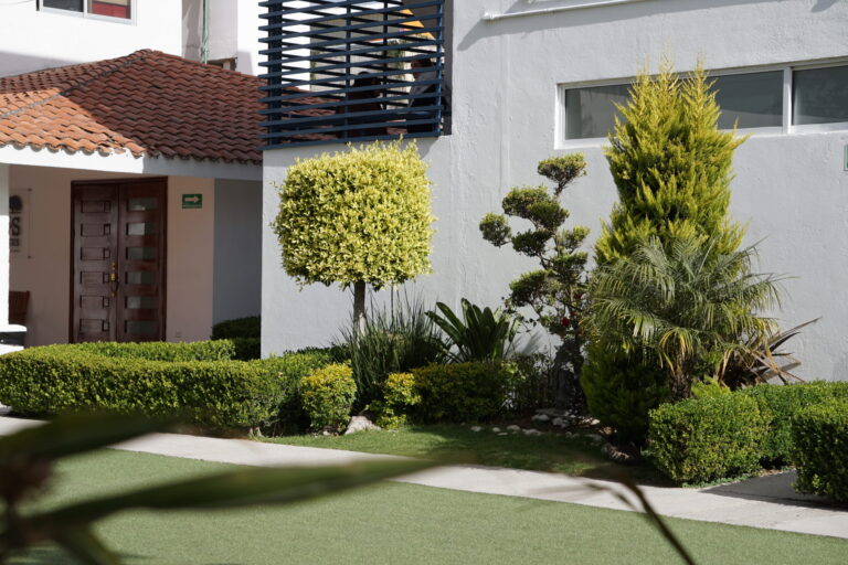Foto de Colegio Los Sauces