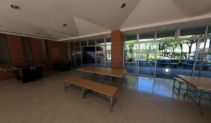 Galería Colegio México Nuevo