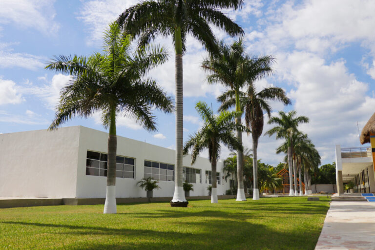 Foto de Alianz Comunidad Estudiantil
