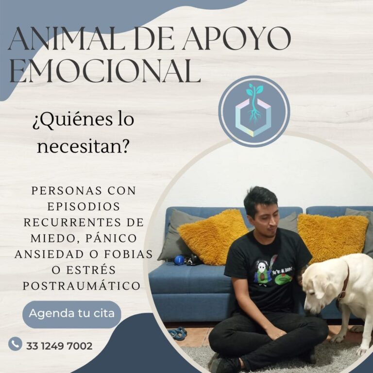 Foto de Atención Integral Playa (AIP)