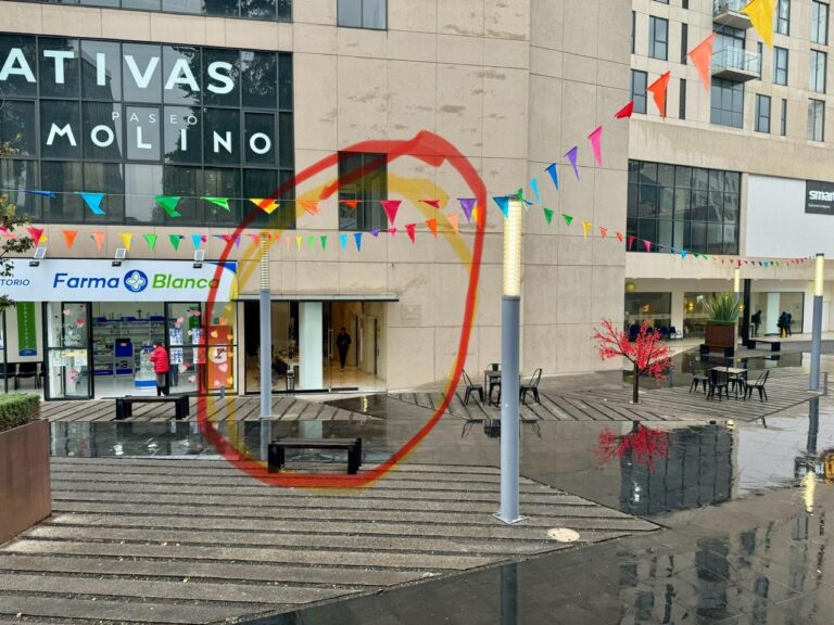 Foto de Dra. Carmen Mendoza
