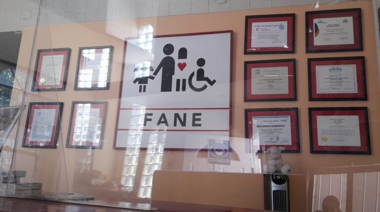 Foto de FANE Fundación de Apoyo para Niños Especiales
