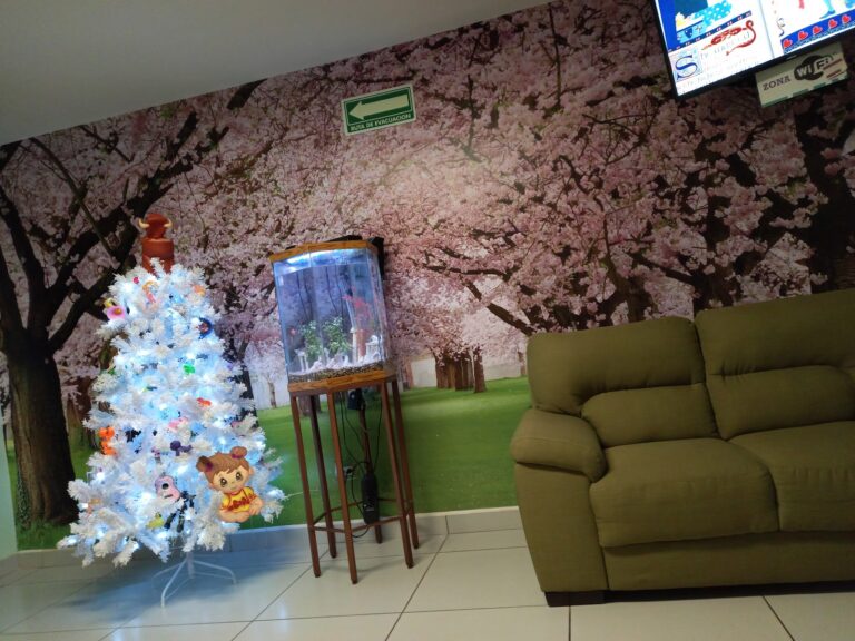 Foto de Fimbres Dental Clinic