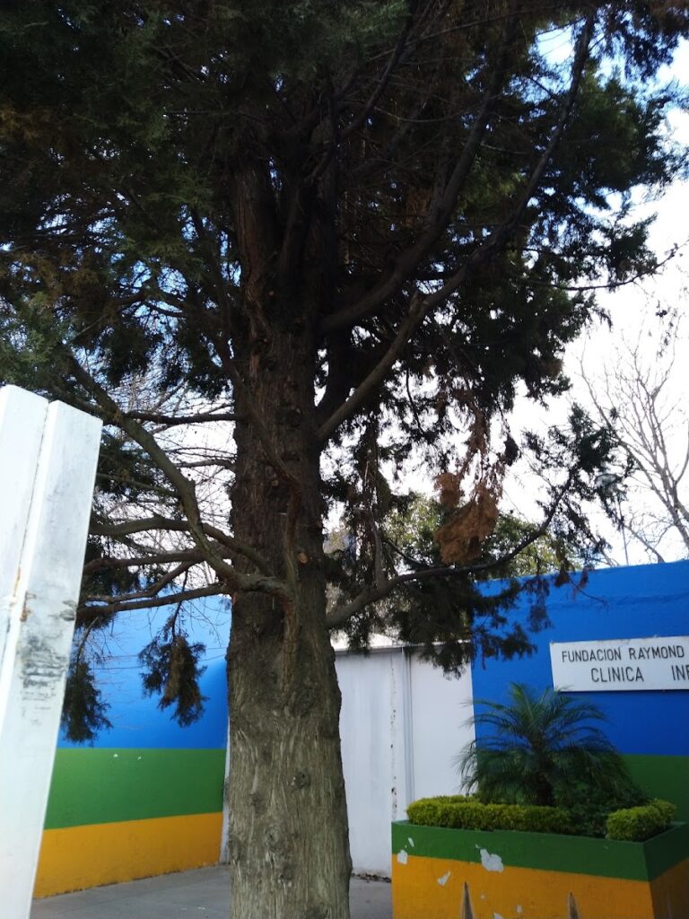 Foto de Fundación Raymond Bell