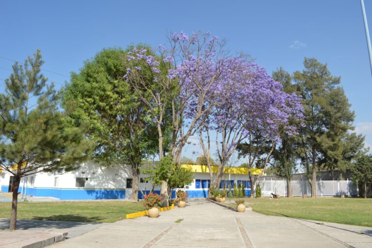 Foto de Instituto Humboldt SLP