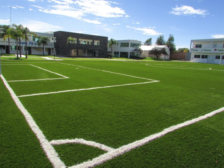 Foto de Instituto Seven Hills