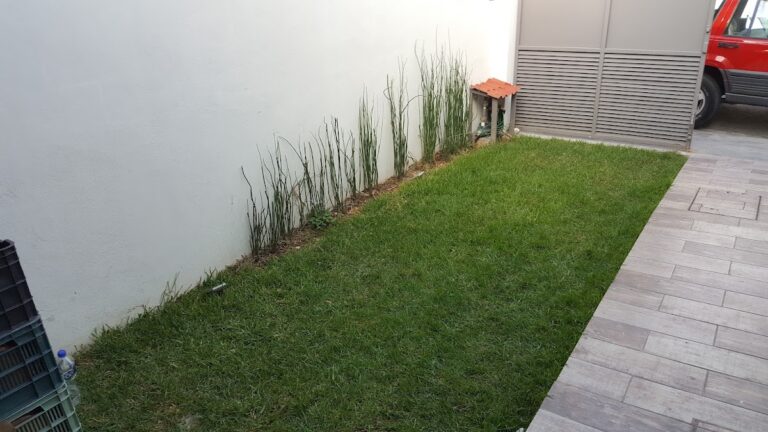Foto de Jardín Encantado