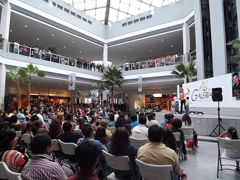Mago Roy en un espectáculo de magia ante público numeroso en un centro comercial de CDMX