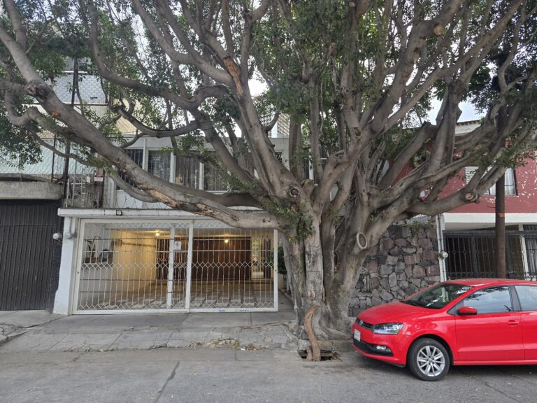 Foto de Psicología Infantil en Guadalajara