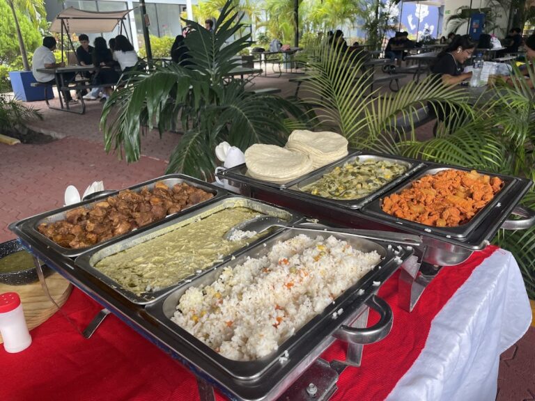 Guisados para taquiza a domicilio de Taquizas Veloz en Playa del Carmen